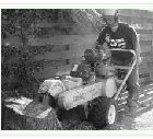 Stump Grinding