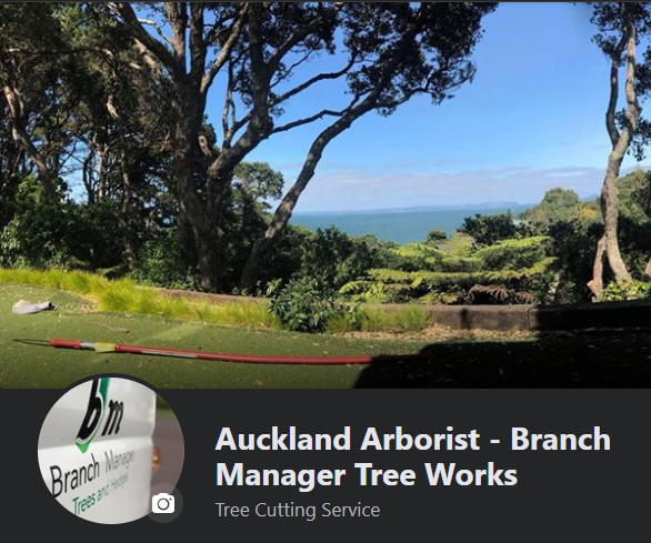Auckland Arborist FB 2020