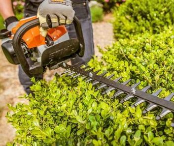 Auckland Arborist - hedge_trimming1 Auckland Arborist - hedge_trimming1